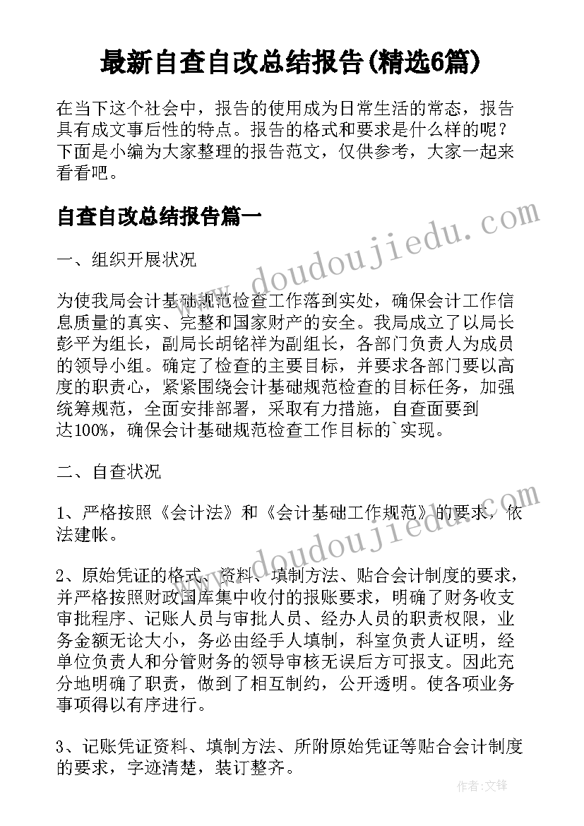 最新自查自改总结报告(精选6篇)