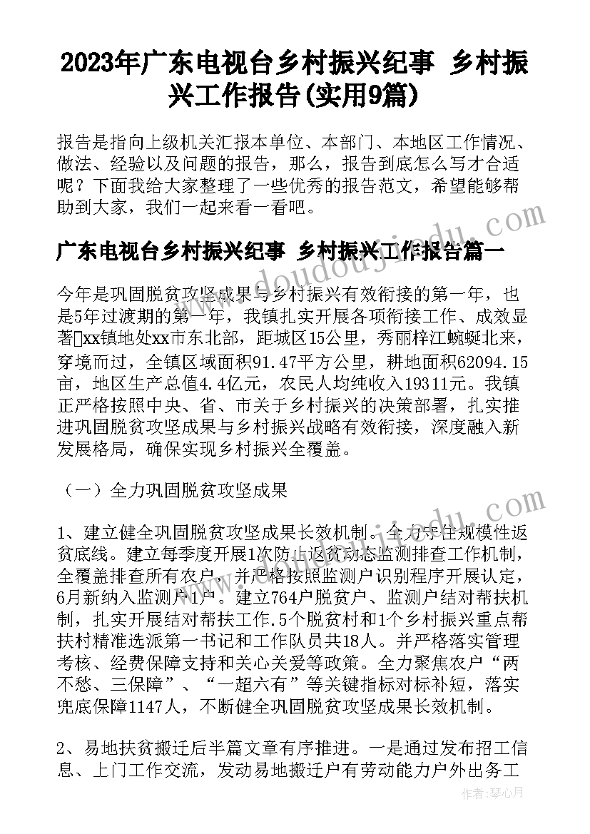 2023年广东电视台乡村振兴纪事 乡村振兴工作报告(实用9篇)