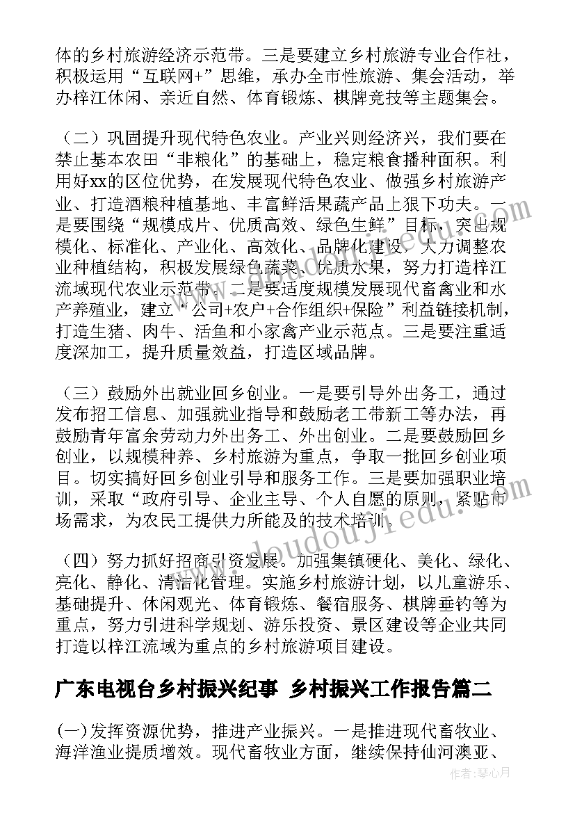 2023年广东电视台乡村振兴纪事 乡村振兴工作报告(实用9篇)