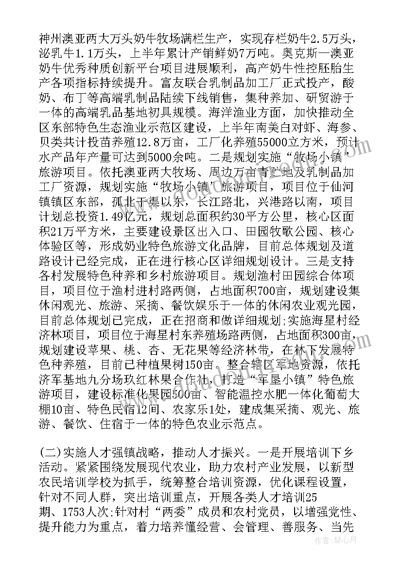 2023年广东电视台乡村振兴纪事 乡村振兴工作报告(实用9篇)