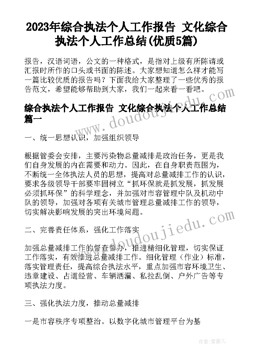 2023年综合执法个人工作报告 文化综合执法个人工作总结(优质5篇)