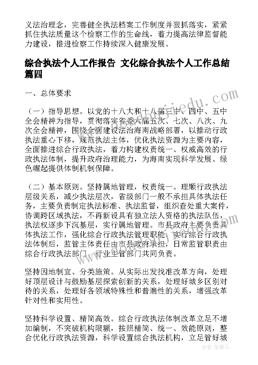 2023年综合执法个人工作报告 文化综合执法个人工作总结(优质5篇)