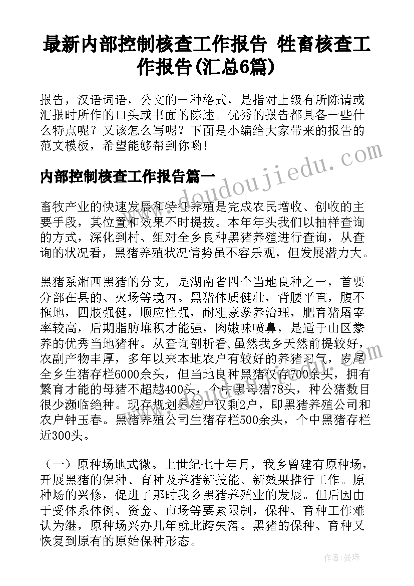 最新内部控制核查工作报告 牲畜核查工作报告(汇总6篇)