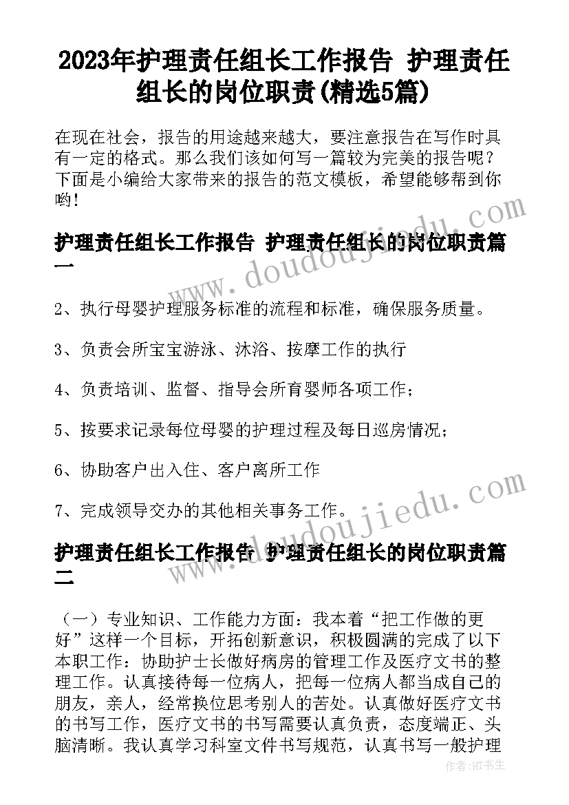 2023年护理责任组长工作报告 护理责任组长的岗位职责(精选5篇)