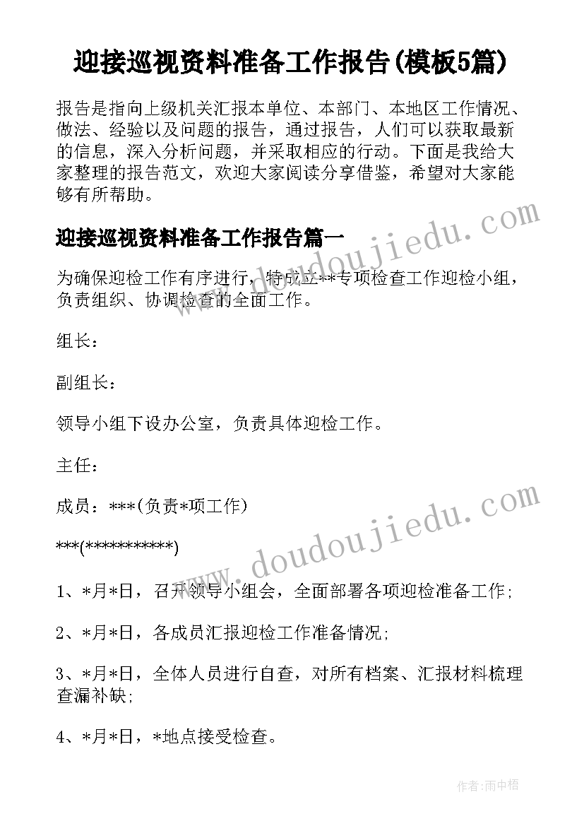 迎接巡视资料准备工作报告(模板5篇)