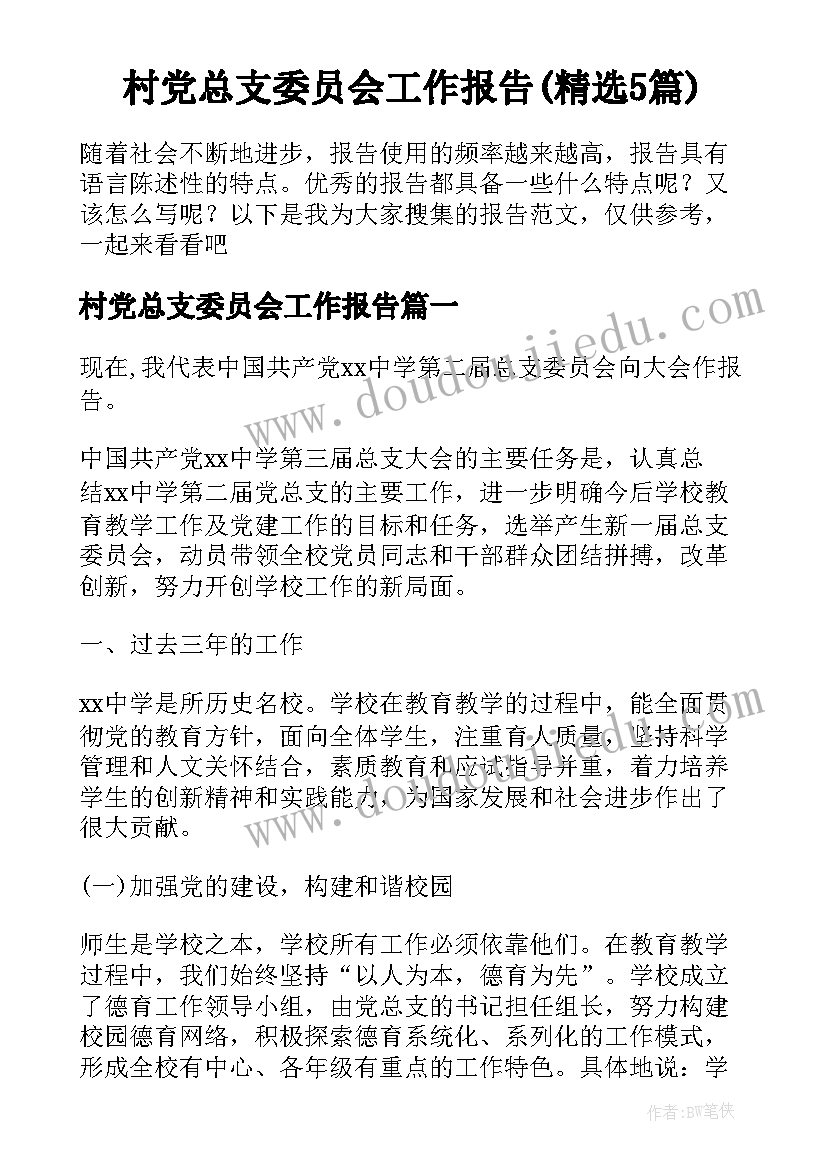 村党总支委员会工作报告(精选5篇)