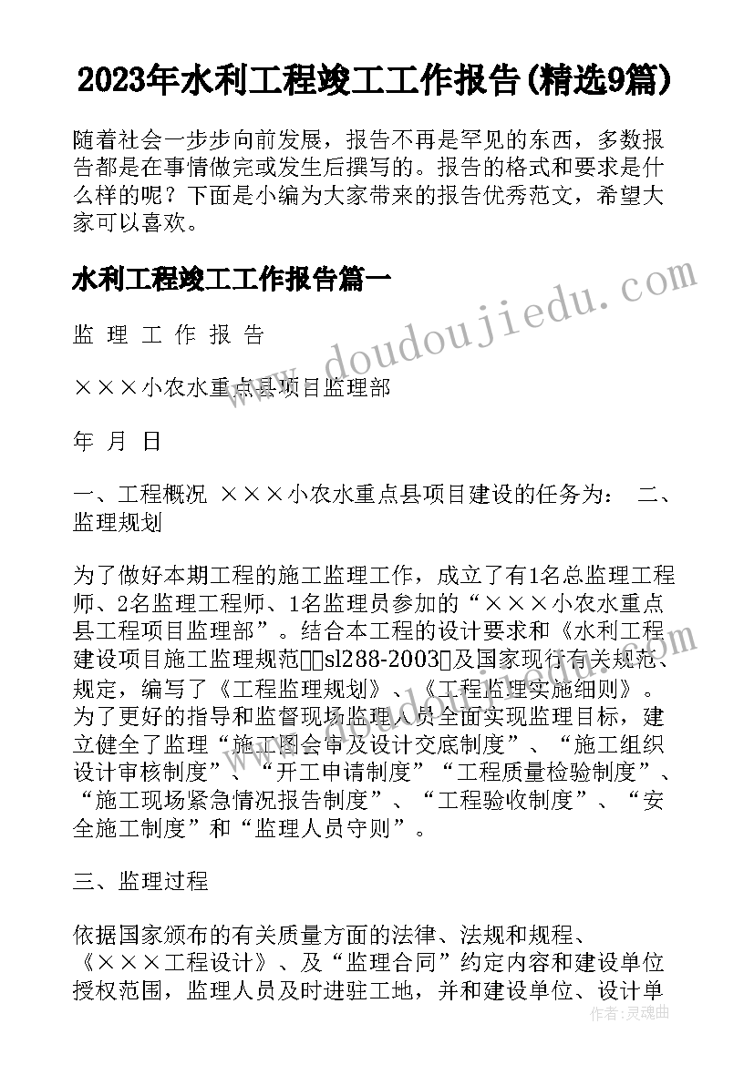 2023年水利工程竣工工作报告(精选9篇)