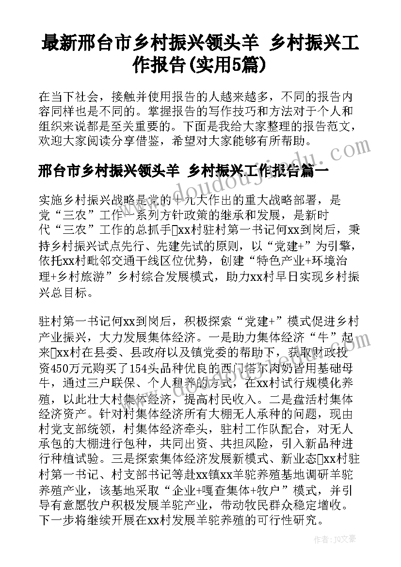 最新邢台市乡村振兴领头羊 乡村振兴工作报告(实用5篇)