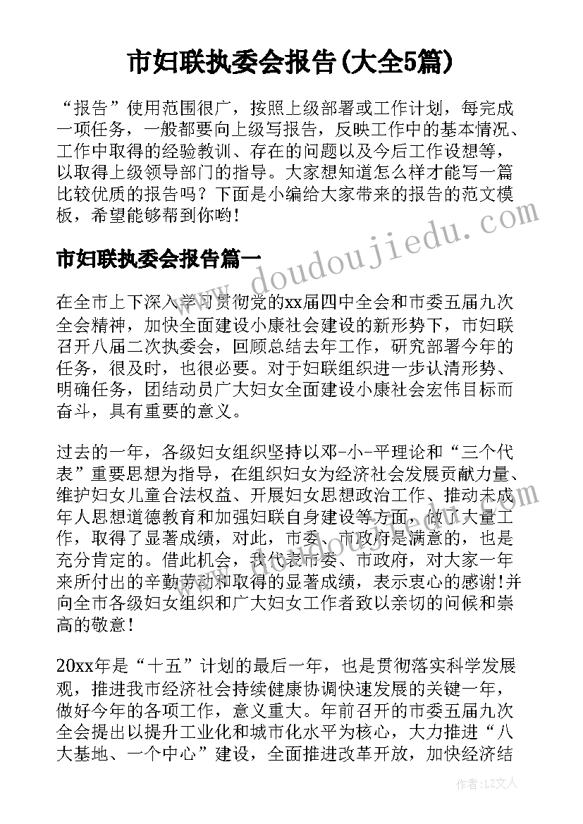 市妇联执委会报告(大全5篇)