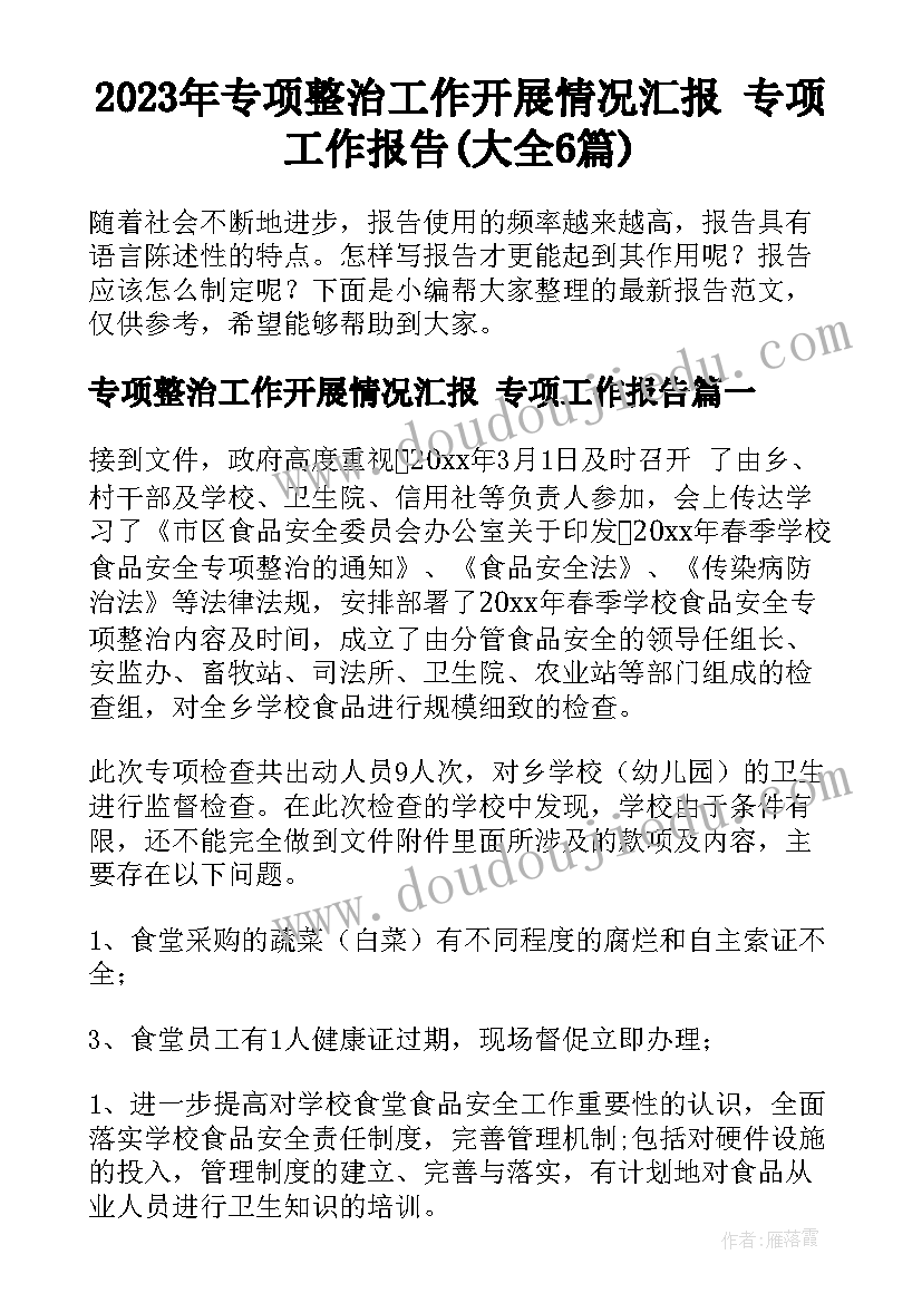 2023年专项整治工作开展情况汇报 专项工作报告(大全6篇)