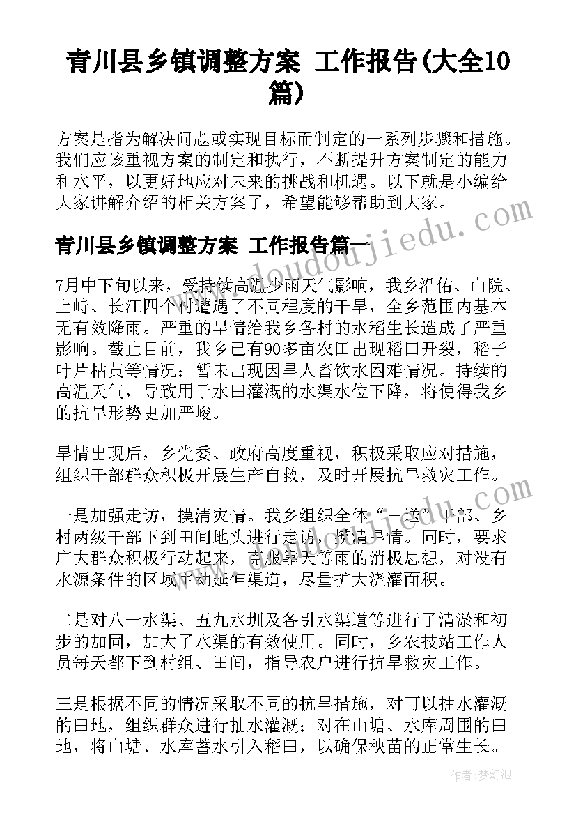 青川县乡镇调整方案 工作报告(大全10篇)