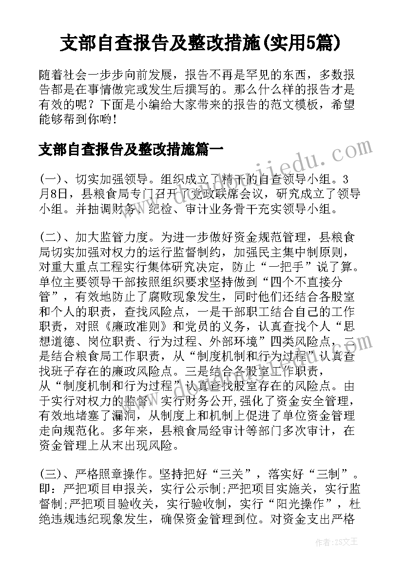 支部自查报告及整改措施(实用5篇)