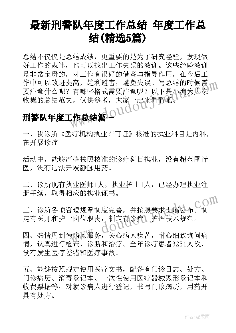 最新刑警队年度工作总结 年度工作总结(精选5篇)