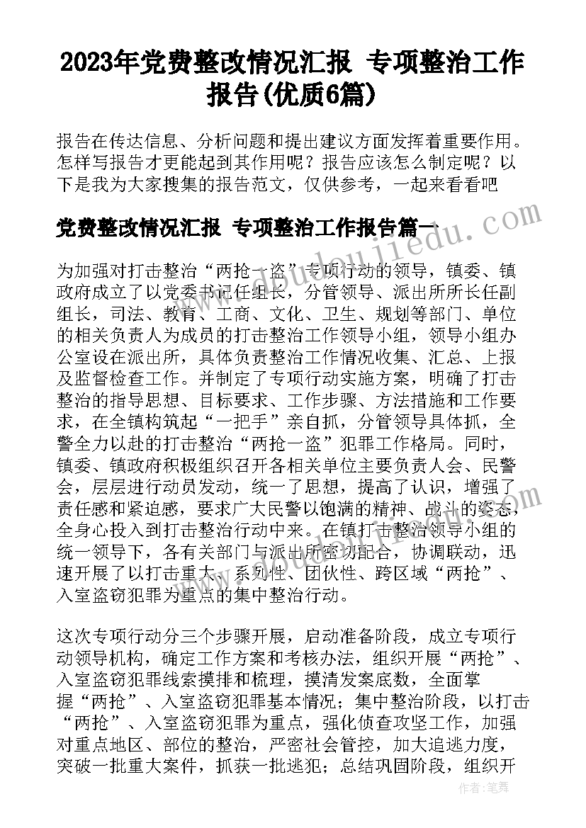 2023年党费整改情况汇报 专项整治工作报告(优质6篇)