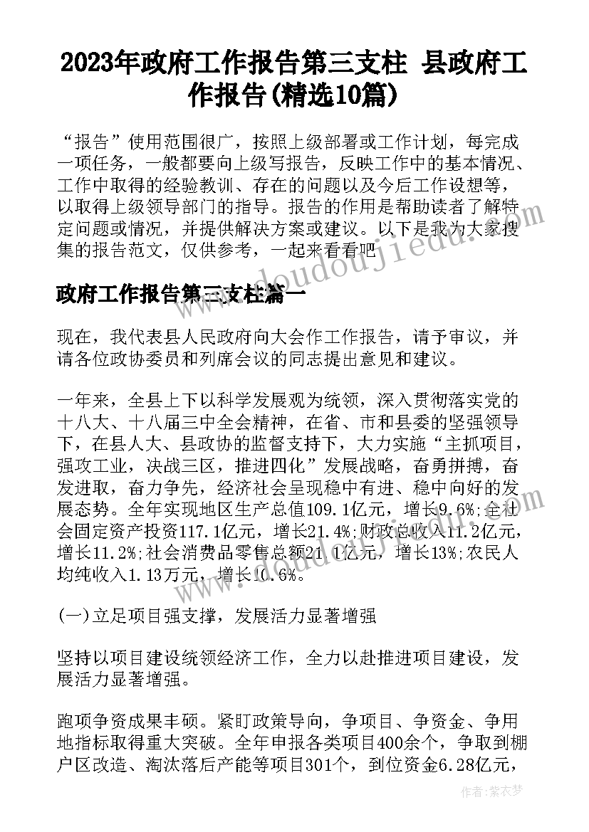 2023年政府工作报告第三支柱 县政府工作报告(精选10篇)