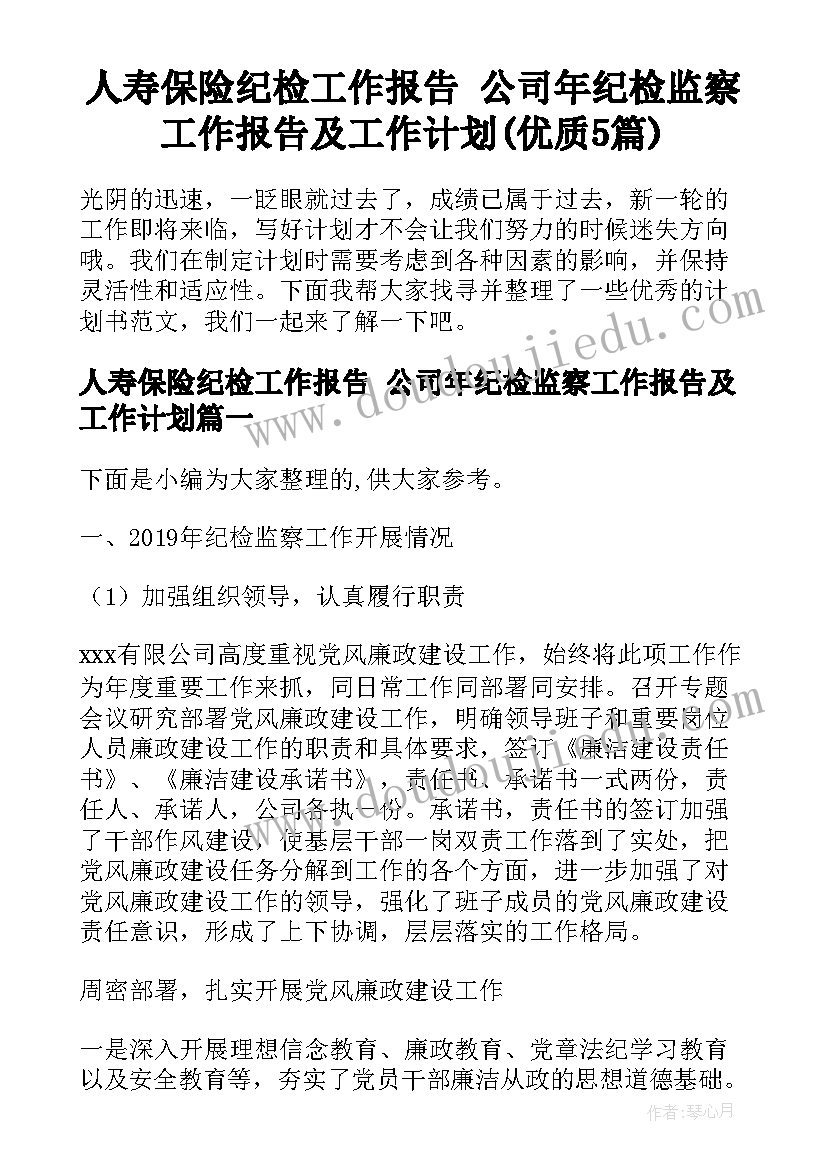 人寿保险纪检工作报告 公司年纪检监察工作报告及工作计划(优质5篇)