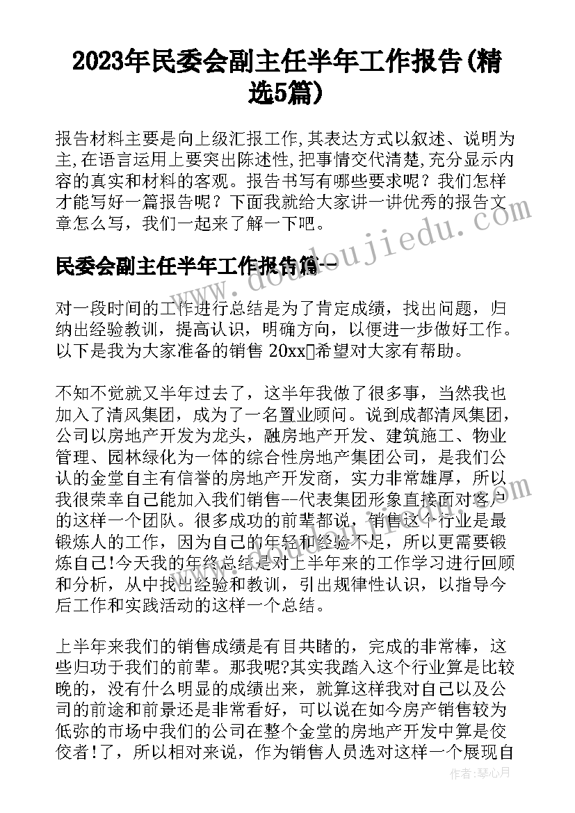 2023年民委会副主任半年工作报告(精选5篇)