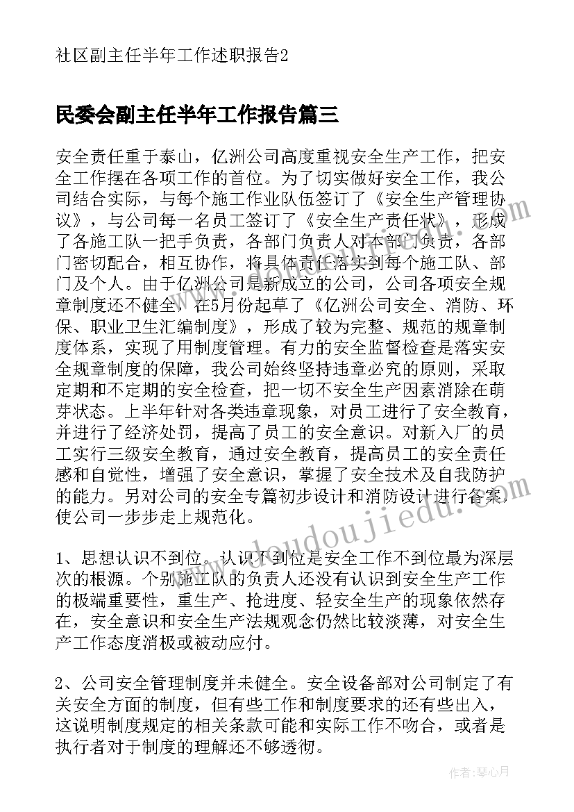 2023年民委会副主任半年工作报告(精选5篇)