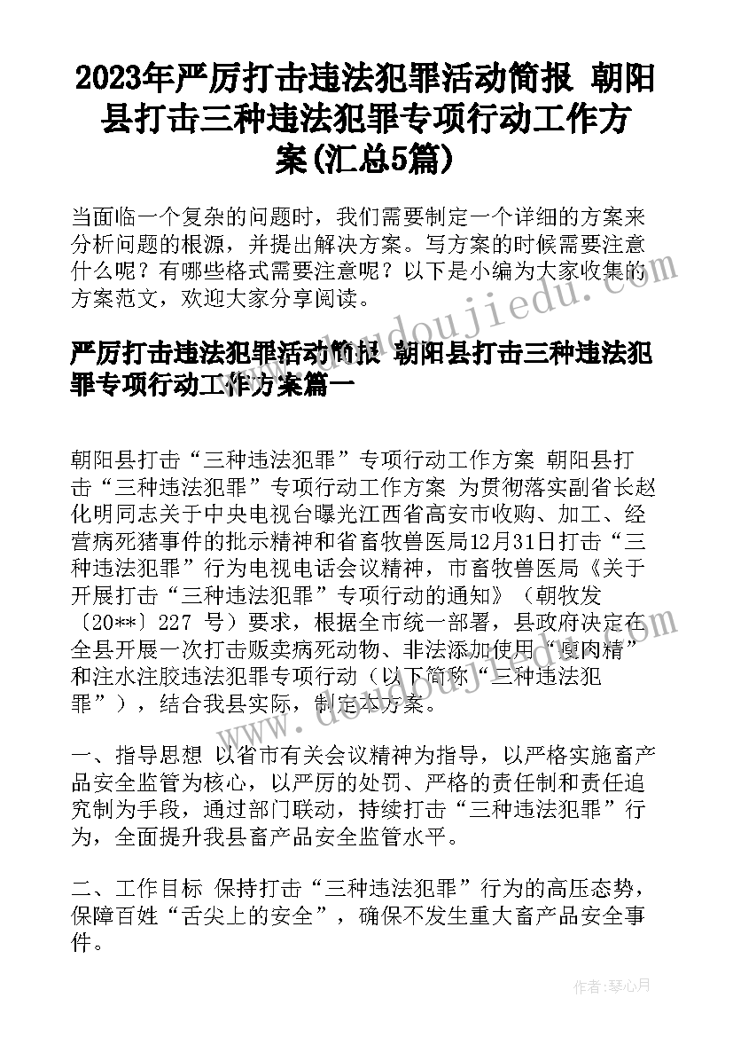 2023年严厉打击违法犯罪活动简报 朝阳县打击三种违法犯罪专项行动工作方案(汇总5篇)