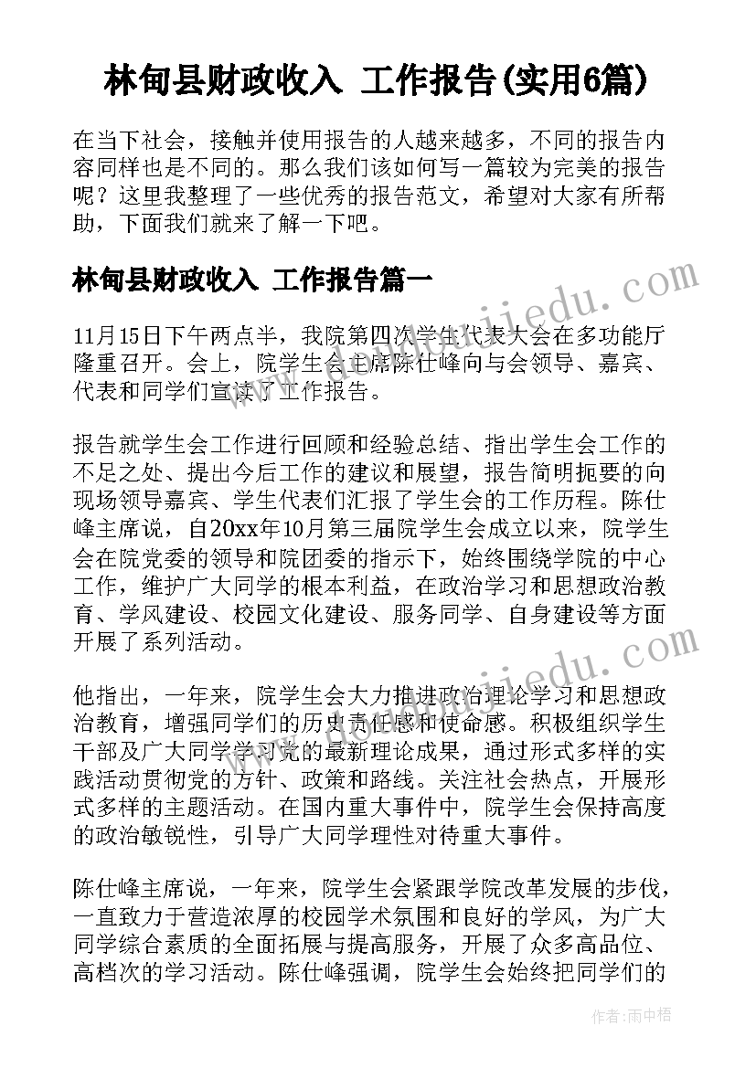 林甸县财政收入 工作报告(实用6篇)