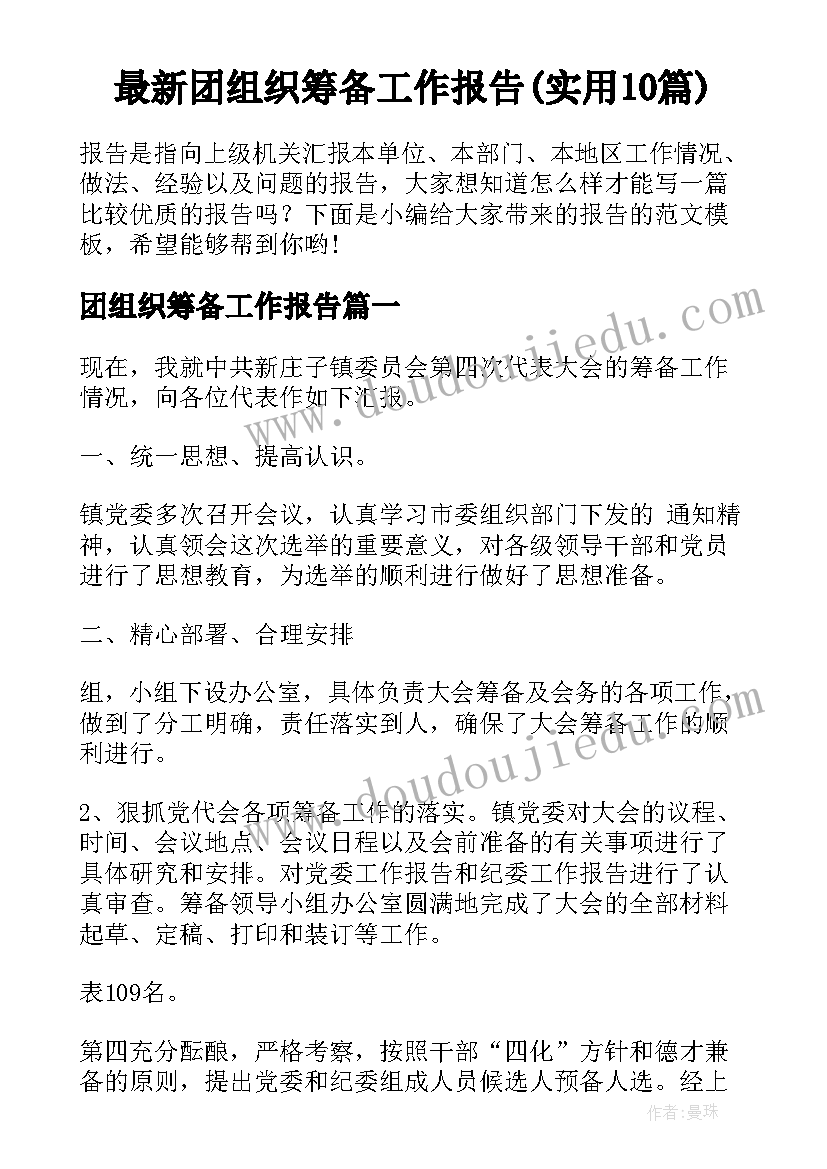 最新团组织筹备工作报告(实用10篇)