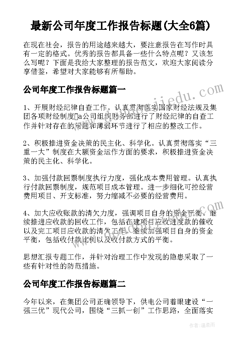 最新公司年度工作报告标题(大全6篇)