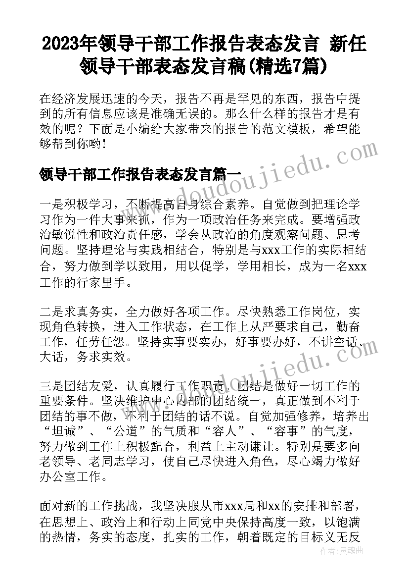 2023年领导干部工作报告表态发言 新任领导干部表态发言稿(精选7篇)