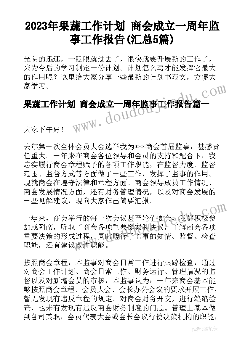 2023年果蔬工作计划 商会成立一周年监事工作报告(汇总5篇)