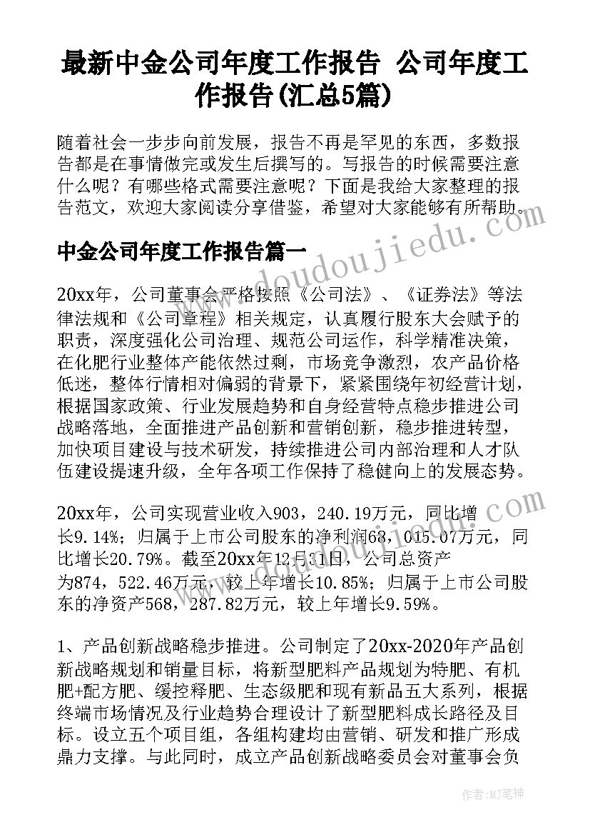 最新中金公司年度工作报告 公司年度工作报告(汇总5篇)