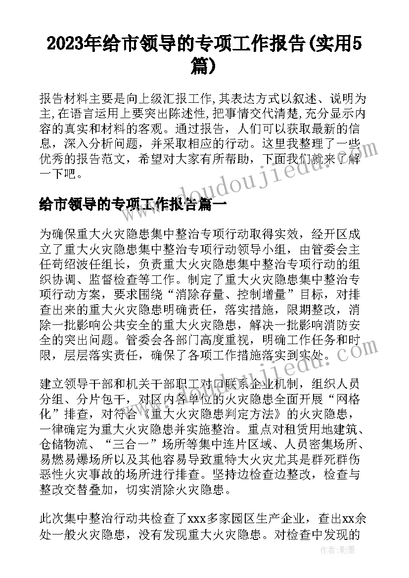 2023年给市领导的专项工作报告(实用5篇)