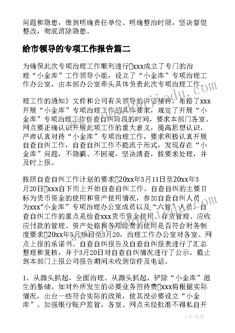 2023年给市领导的专项工作报告(实用5篇)