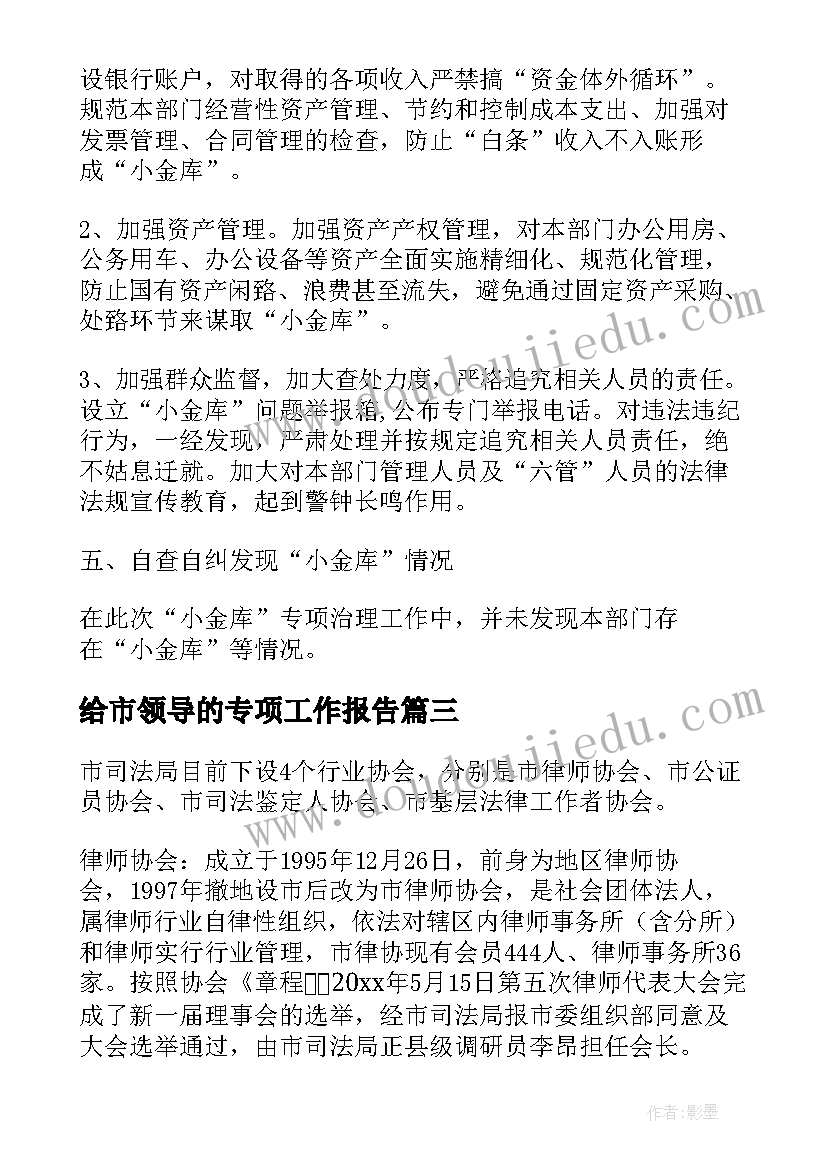 2023年给市领导的专项工作报告(实用5篇)