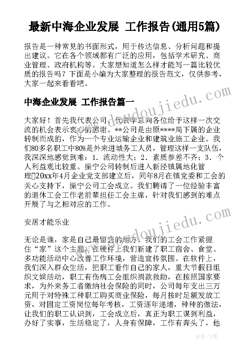 最新中海企业发展 工作报告(通用5篇)