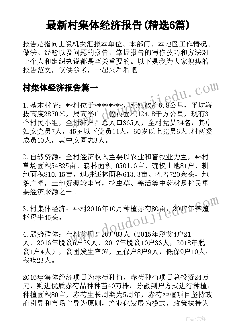 最新村集体经济报告(精选6篇)