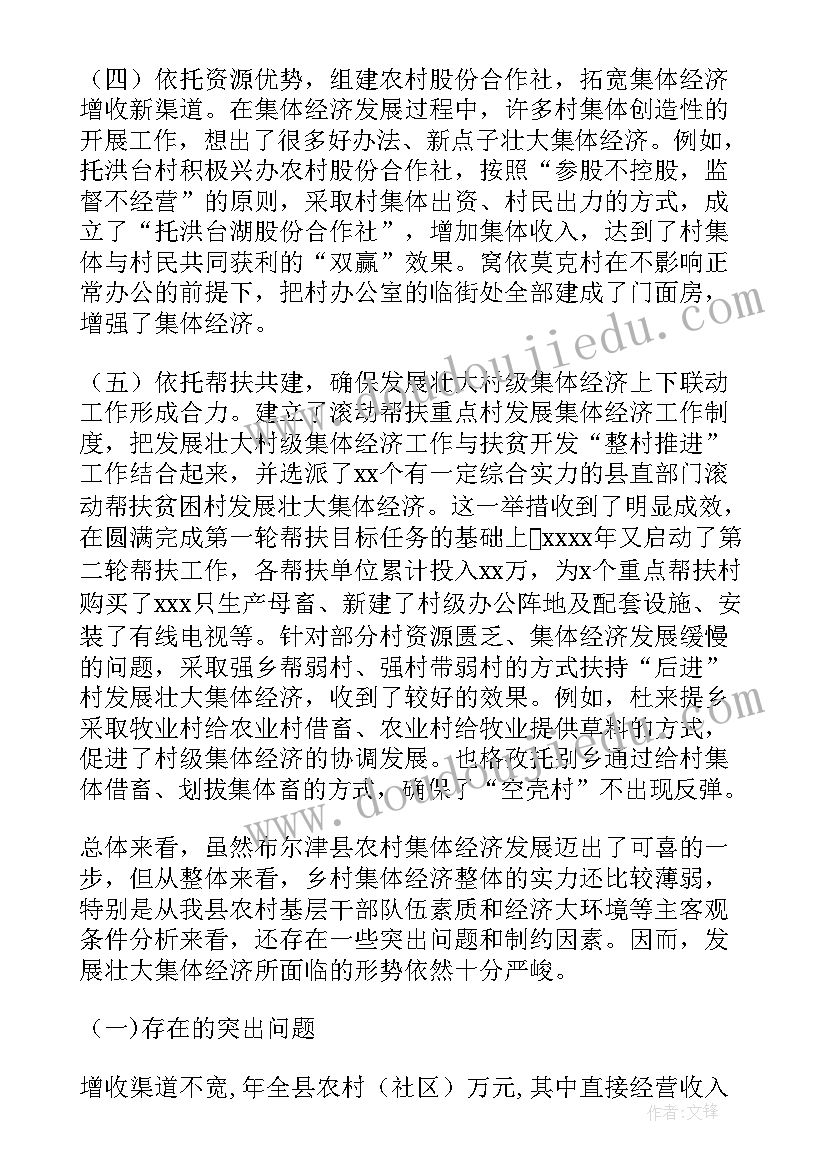 最新村集体经济报告(精选6篇)