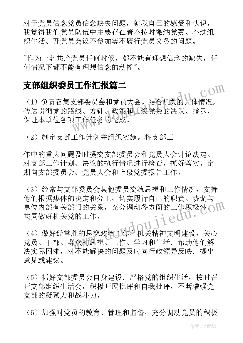 2023年支部组织委员工作汇报 支部组织委员党建工作总结(优质6篇)