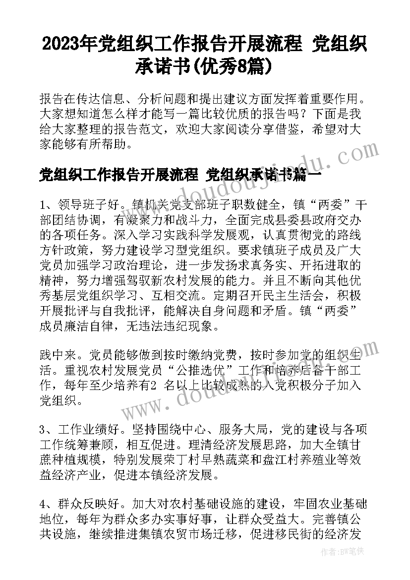 2023年党组织工作报告开展流程 党组织承诺书(优秀8篇)