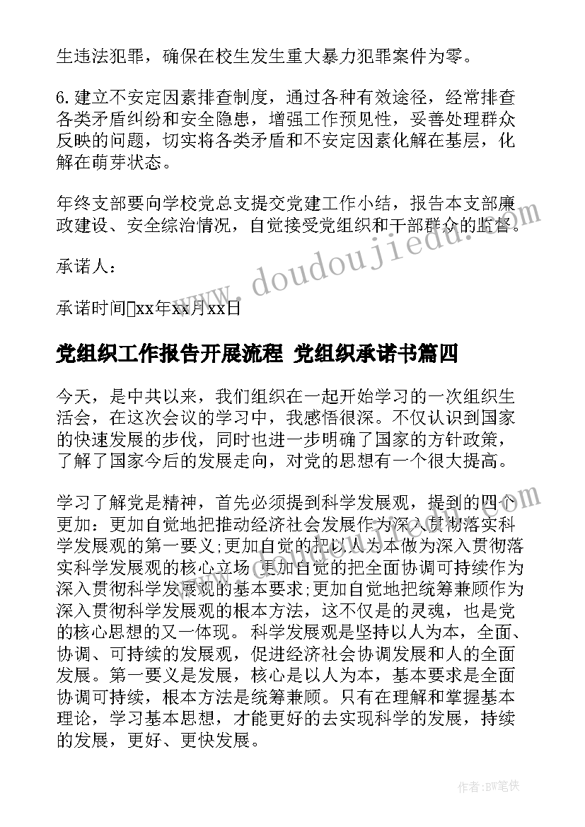 2023年党组织工作报告开展流程 党组织承诺书(优秀8篇)