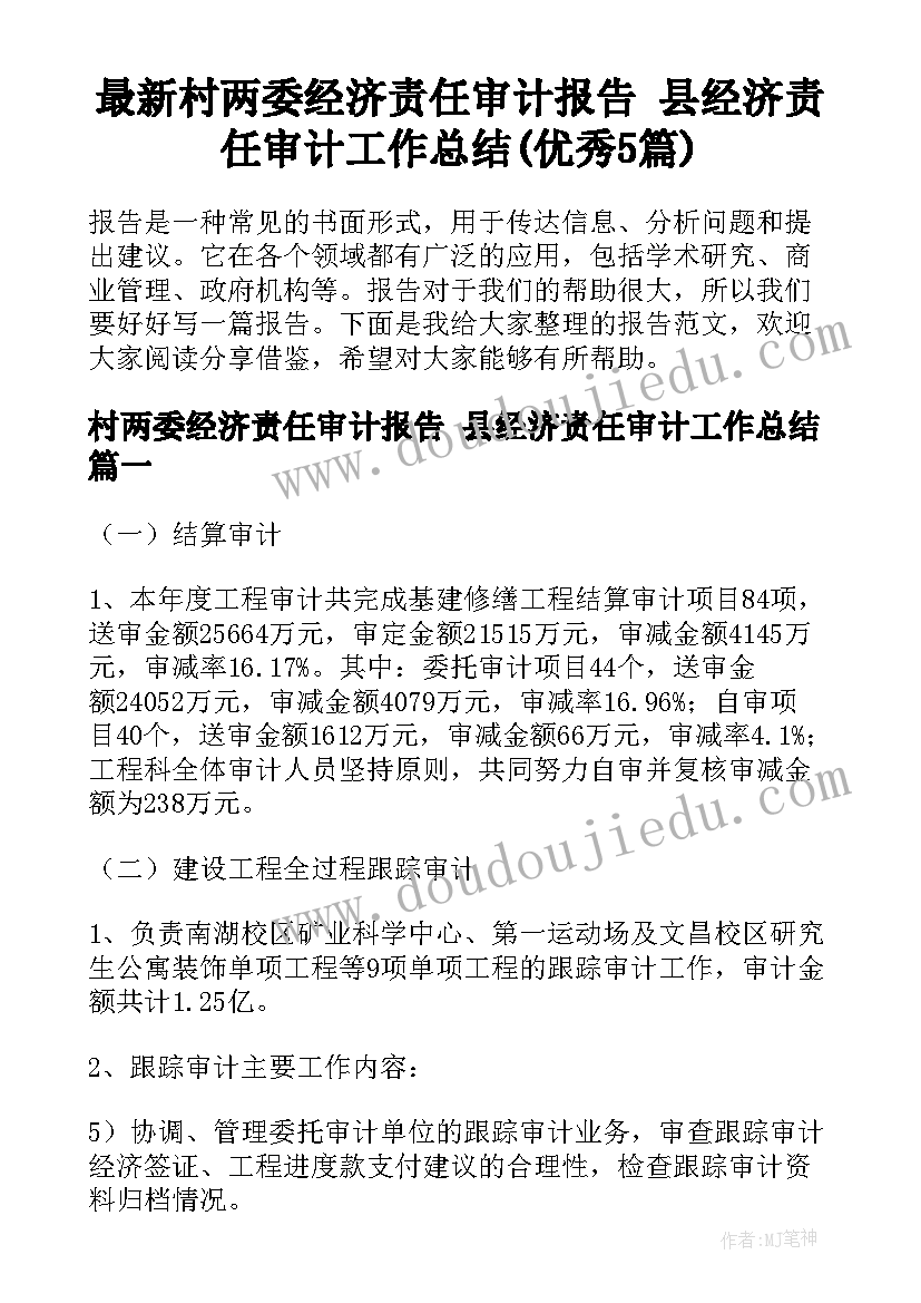 最新村两委经济责任审计报告 县经济责任审计工作总结(优秀5篇)