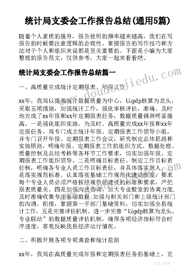 统计局支委会工作报告总结(通用5篇)