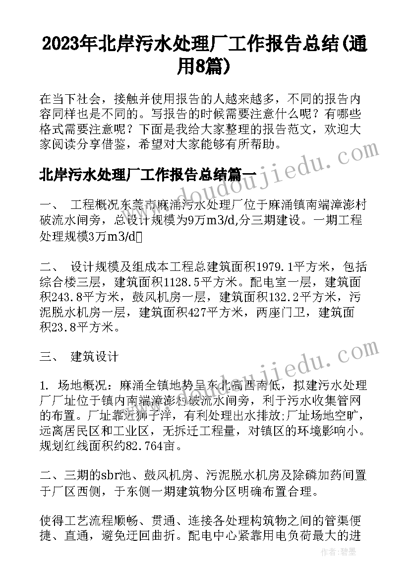 2023年北岸污水处理厂工作报告总结(通用8篇)