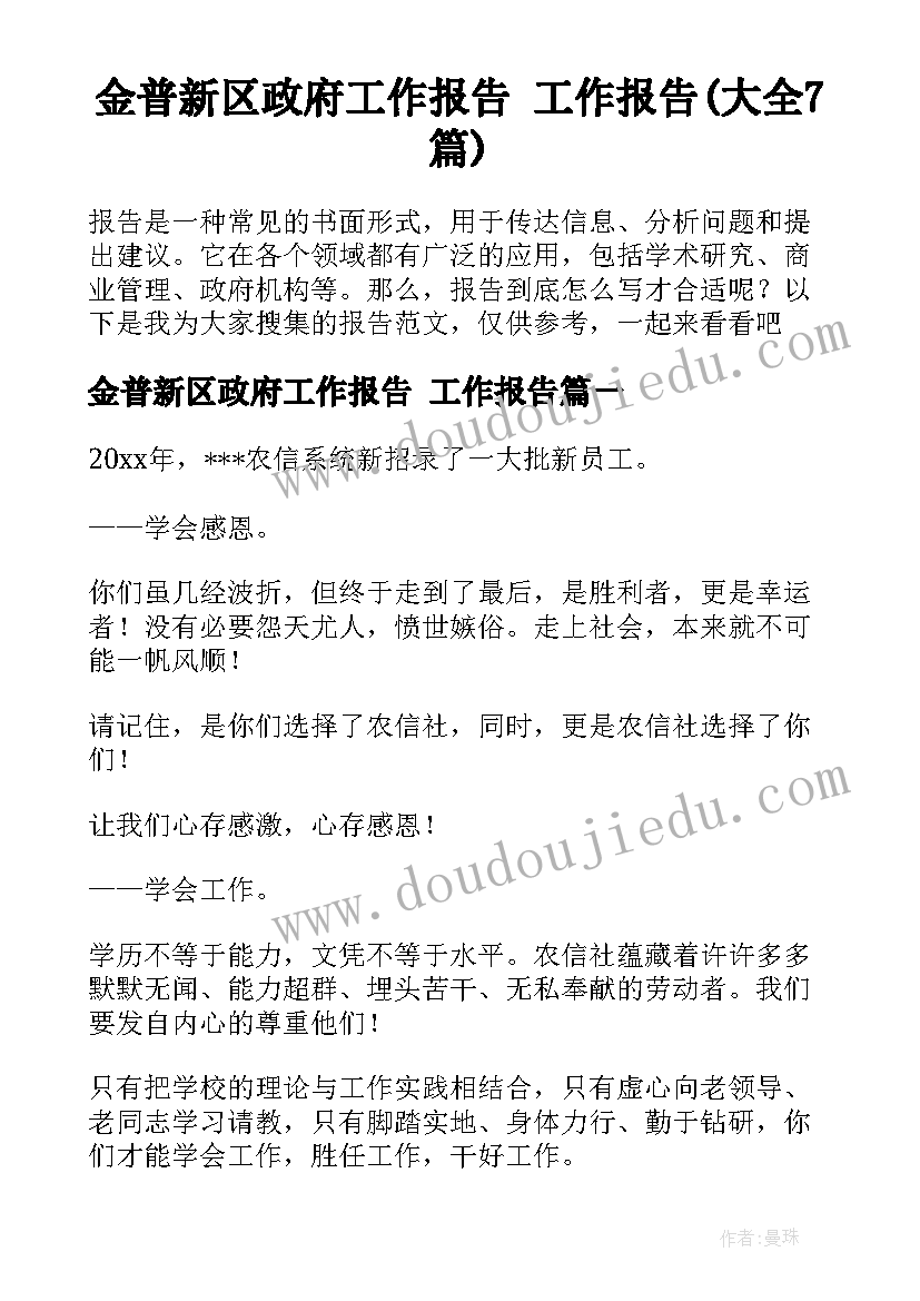 金普新区政府工作报告 工作报告(大全7篇)