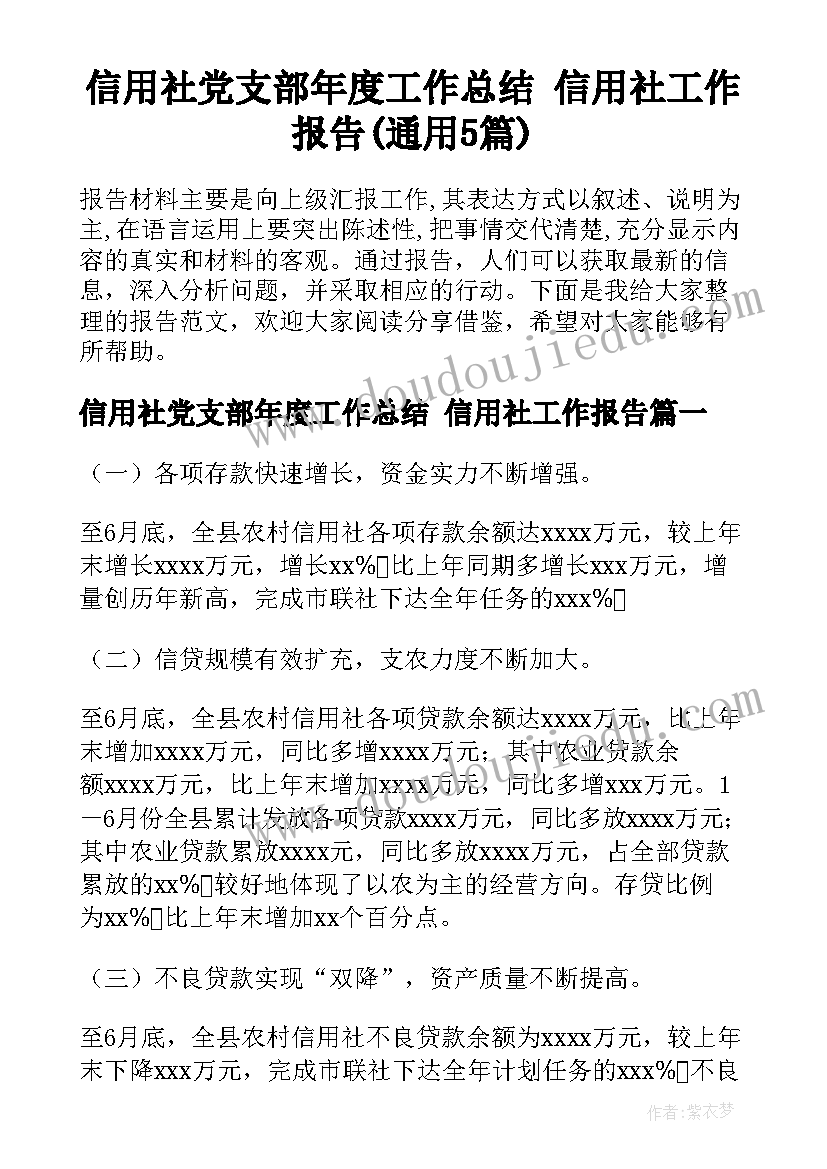 信用社党支部年度工作总结 信用社工作报告(通用5篇)