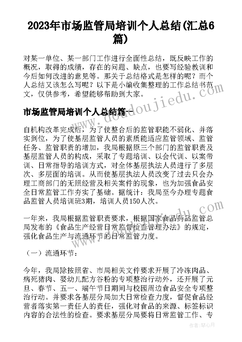 2023年市场监管局培训个人总结(汇总6篇)