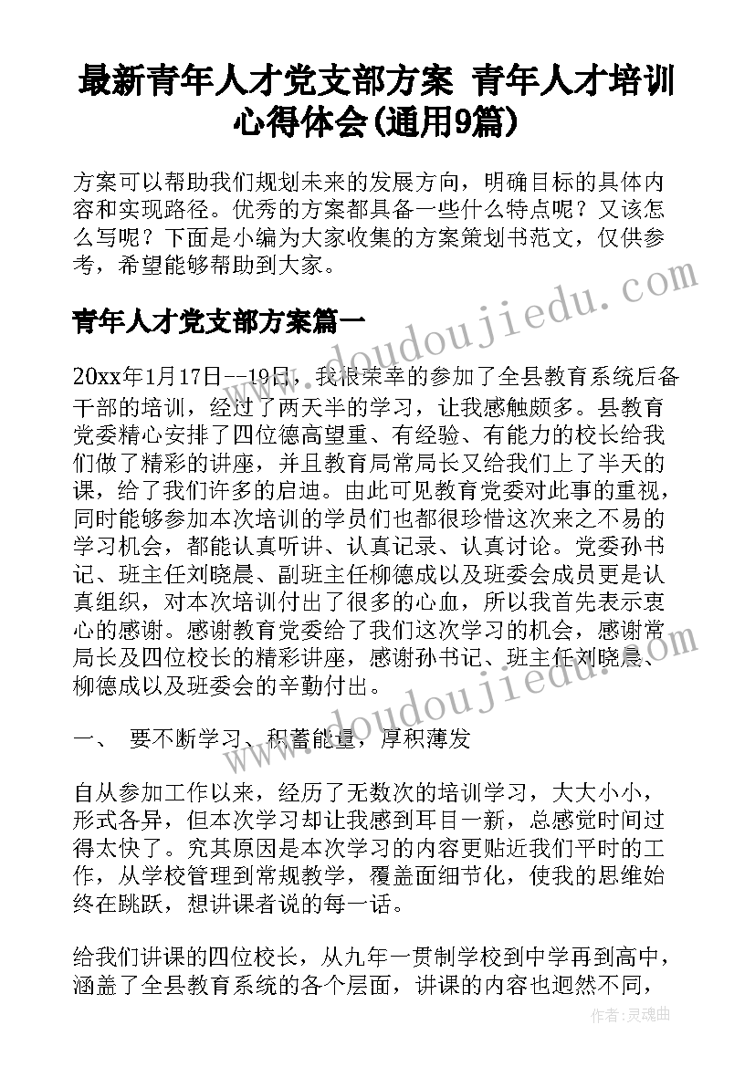 最新青年人才党支部方案 青年人才培训心得体会(通用9篇)