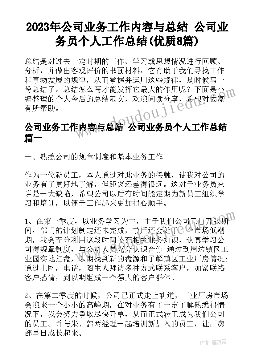 2023年公司业务工作内容与总结 公司业务员个人工作总结(优质8篇)