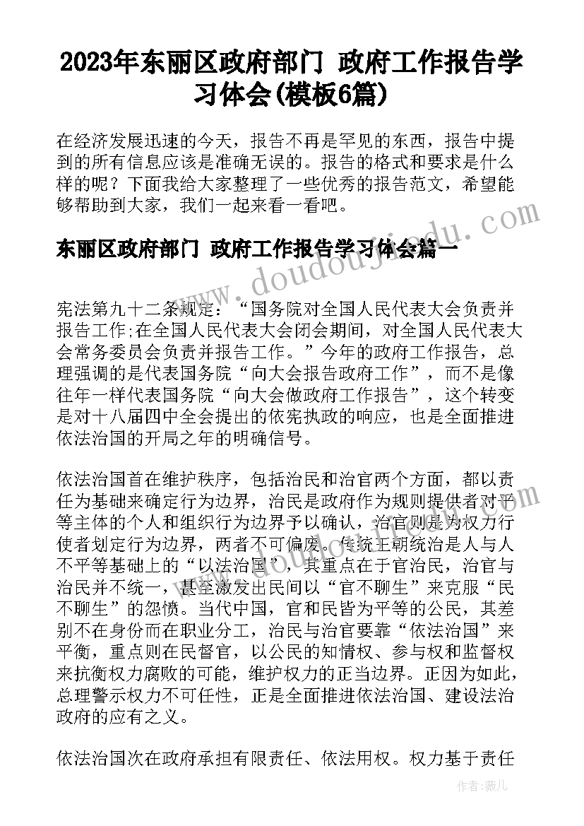 2023年东丽区政府部门 政府工作报告学习体会(模板6篇)