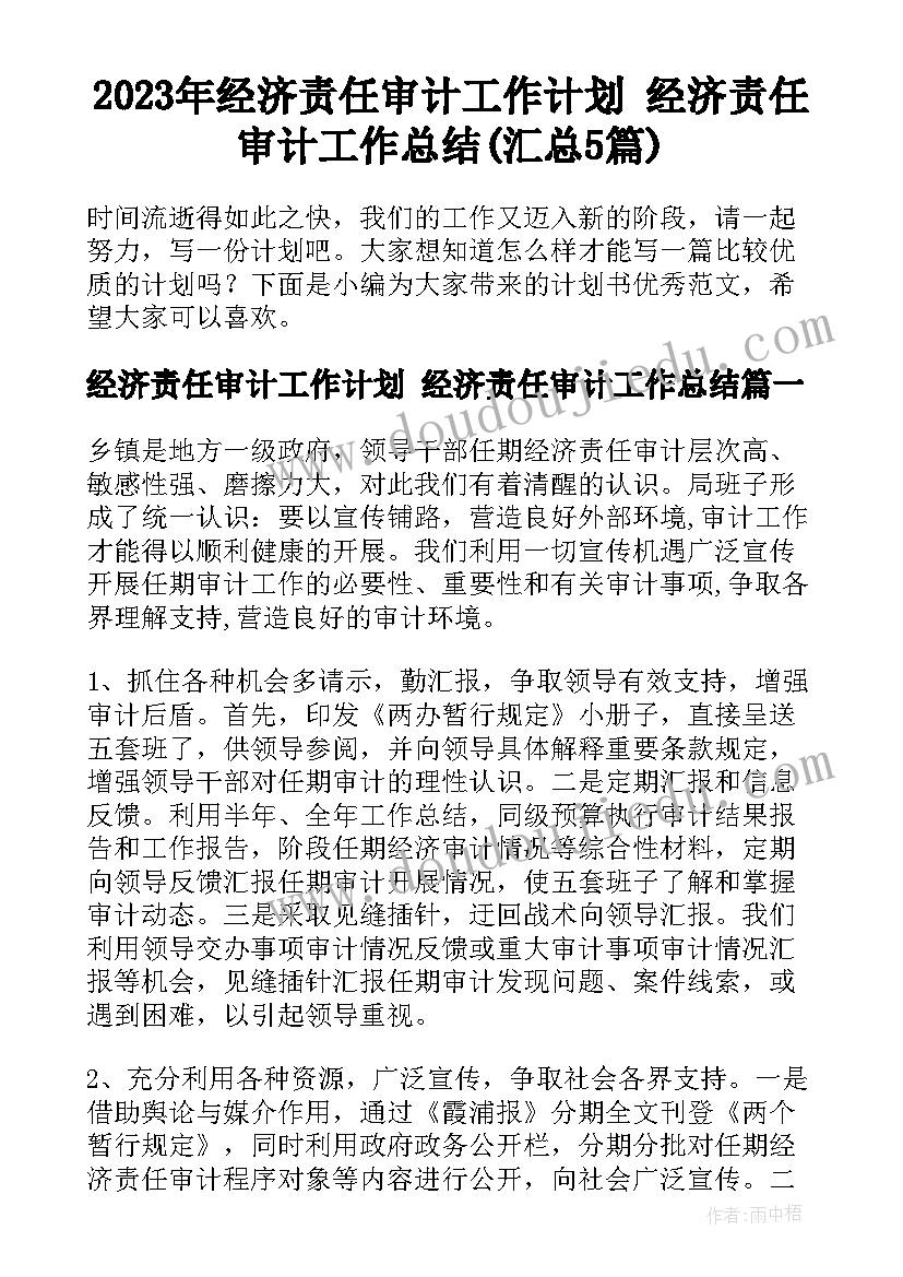 2023年经济责任审计工作计划 经济责任审计工作总结(汇总5篇)