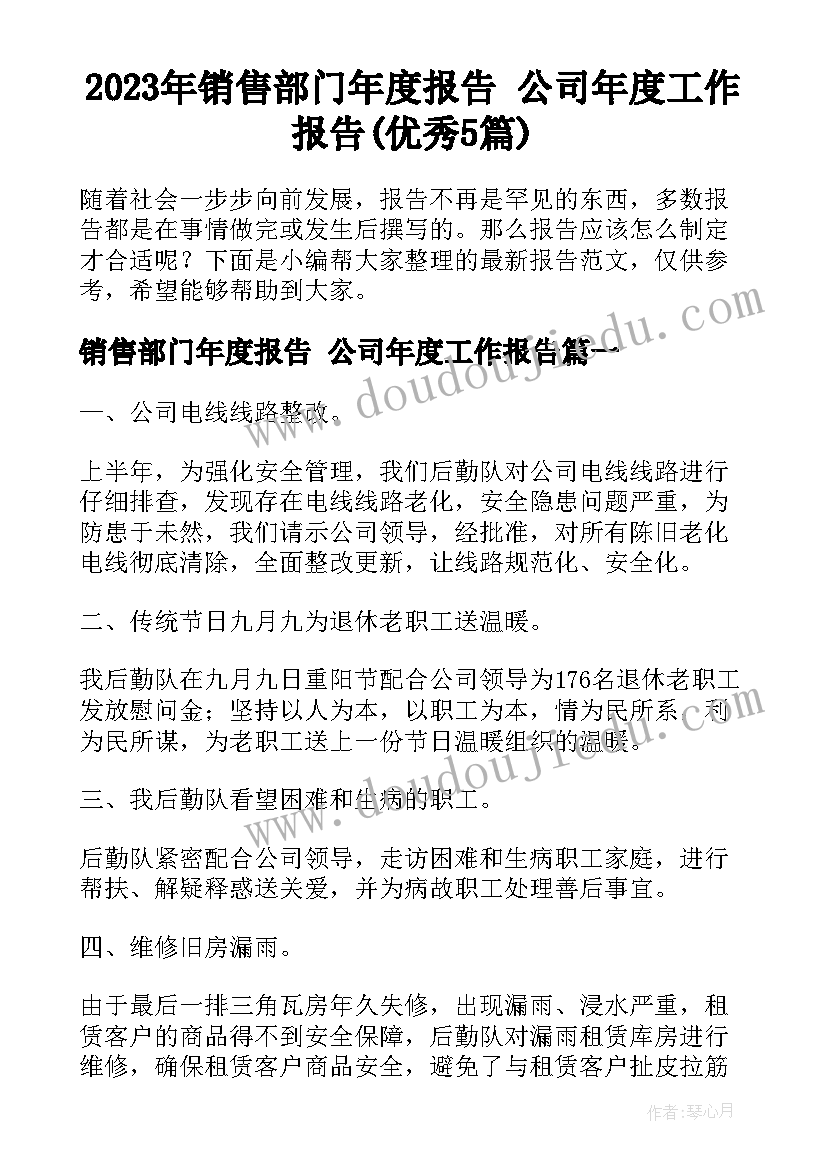 2023年销售部门年度报告 公司年度工作报告(优秀5篇)