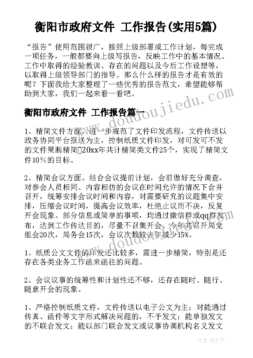 衡阳市政府文件 工作报告(实用5篇)